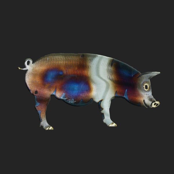 PIG
